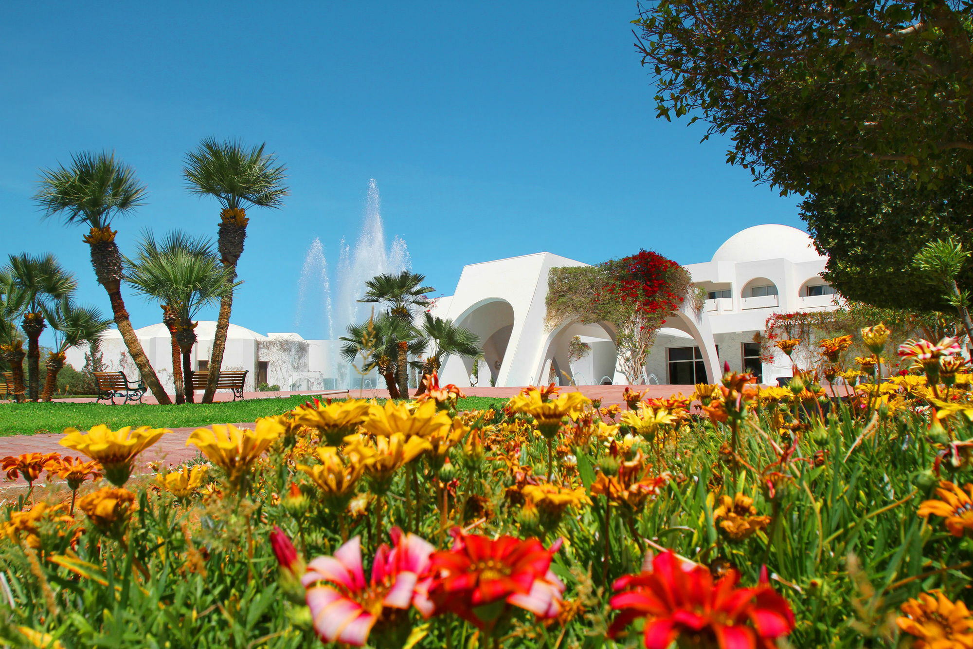 Djerba Plaza Thalasso & Spa Triffa Екстер'єр фото